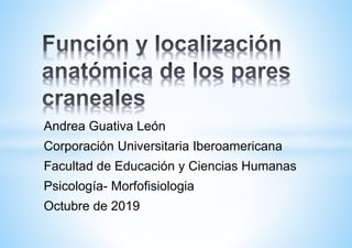 Andrea Guativa León
Corporación Universitaria Iberoamericana
Facultad de Educación y Ciencias Humanas
Psicología- Morfofisiologia
Octubre de 2019
 
