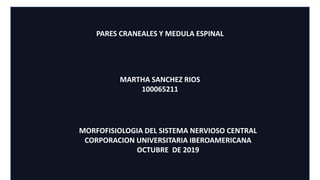 Nervio
Hipogloso
PARES CRANEALES Y MEDULA ESPINAL
MARTHA SANCHEZ RIOS
100065211
MORFOFISIOLOGIA DEL SISTEMA NERVIOSO CENTRAL
CORPORACION UNIVERSITARIA IBEROAMERICANA
OCTUBRE DE 2019
 