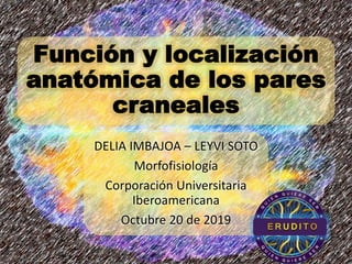 Función y localización
anatómica de los pares
craneales
DELIA IMBAJOA – LEYVI SOTO
Morfofisiología
Corporación Universitaria
Iberoamericana
Octubre 20 de 2019
 