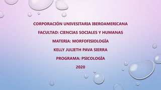 CORPORACIÓN UNIVESITARIA IBEROAMERICANA
FACULTAD: CIENCIAS SOCIALES Y HUMANAS
MATERIA: MORFOFISIOLOGÍA
KELLY JULIETH PAVA SIERRA
PROGRAMA: PSICOLOGÍA
2020
 