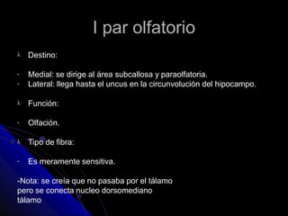 I par olfatorio
 Destino:
-
-
Medial: se dirige al área subcallosa y paraolfatoria.
Lateral: llega hasta el uncus en la circunvolución del hipocampo.
 Función:
- Olfación.
 Tipo de fibra:
- Es meramente sensitiva.
-Nota: se creía que no pasaba por el tálamo
pero se conecta nucleo dorsomediano
tálamo
 