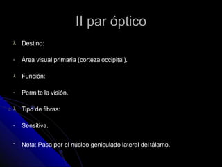 II par óptico
 Destino:
- Área visual primaria (corteza occipital).
 Función:
- Permite la visión.
 Tipo de fibras:
- Sensitiva.
- Nota: Pasa por el núcleo geniculado lateral deltálamo.
 
