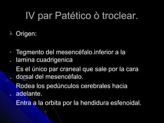 IV par Patético ò troclear.
 Origen:
-
-
-
-
Tegmento del mesencéfalo.inferior a la
lamina cuadrigenica
Es el único par craneal que sale por la cara
dorsal del mesencéfalo.
Rodea los pedúnculos cerebrales hacia
adelante.
Entra a la orbita por la hendidura esfenoidal.
 