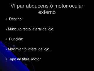 VI par abducens ó motor ocular
externo
 Destino:
- Músculo recto lateral del ojo.
 Función:
- Movimiento lateral del ojo.
 Tipo de fibra: Motor
 
