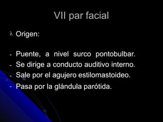 VII par facial
 Origen:
-
-
-
-
Puente, a nivel surco pontobulbar.
Se dirige a conducto auditivo interno.
Sale por el agujero estilomastoideo.
Pasa por la glándula parótida.
 