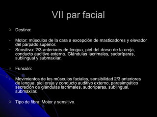 VII par facial
 Destino:
-
-
Motor: músculos de la cara a excepción de masticadores y elevador
del parpado superior.
Sensitivo: 2/3 anteriores de lengua, piel del dorso de la oreja,
conducto auditivo externo. Glándulas lacrimales, sudoríparas,
sublingual y submaxilar.
 Función:
- Movimientos de los músculos faciales, sensibilidad 2/3 anteriores
de lengua, piel oreja y conducto auditivo externo, parasimpático
secreción de glándulas lacrimales, sudoríparas, sublingual,
submaxilar.
 Tipo de fibra: Motor y sensitivo.
 