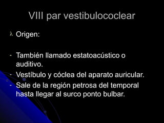 VIII par vestibulococlear
 Origen:
-
-
-
También llamado estatoacústico o
auditivo.
Vestíbulo y cóclea del aparato auricular.
Sale de la región petrosa del temporal
hasta llegar al surco ponto bulbar.
 