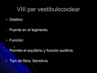 VIII par vestibulococlear
 Destino:
- Puente en el tegmento.
 Función:
- Permite el equilibrio y función auditiva.
 Tipo de fibra: Sensitiva.
 