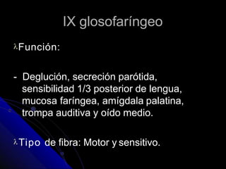 IX glosofaríngeo
Función:
- Deglución, secreción parótida,
sensibilidad 1/3 posterior de lengua,
mucosa faríngea, amígdala palatina,
trompa auditiva y oído medio.
Tipo de fibra: Motor y sensitivo.
 