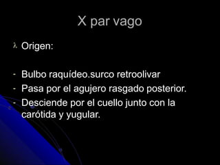 X par vago
 Origen:
-
-
-
Bulbo raquídeo.surco retroolivar
Pasa por el agujero rasgado posterior.
Desciende por el cuello junto con la
carótida y yugular.
 