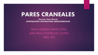 PARES CRANEALES
Docente: Peter Murcia
CORPORACIÓN UNIVERSITARIA IBEROAMERICANA
PAULA ANDREA GARCÍA LÓPEZ
JEIMY PAOLA RODRÍGUEZ CASTRO
ABRIL 2021
 
