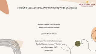 FUNCIÓN Y LOCALIZACIÓN ANATÓMICA DE LOS PARES CRANEALES
Burbano Córdoba Nury Alexandra
López Riofrio Jhonatan Fernando
Docente: Jeison Palacios
Corporación Universitaria Iberoamericana
Facultad Ciencias Humanas Y Sociales
Morfofisiología del SNC
Agosto-2021
 