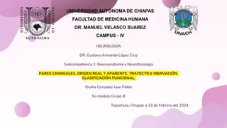 NEUROLOGÍA
DR. Gustavo Armando López Cruz
Subcompetencia 1. Neuroanatomía y Neurofisiología
PARES CRANEALES. ORIGEN REAL Y APARENTE, TRAYECTO E INERVACIÓN.
CLASIFICACIÓN FUNCIONAL.
Ocaña Gonzalez Juan Pablo
5o módulo Grupo B
Tapachula, Chiapas a 23 de Febrero del 2024.
 