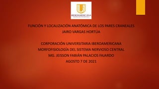 FUNCIÓN Y LOCALIZACIÓN ANATÓMICA DE LOS PARES CRANEALES
JAIRO VARGAS HORTÚA
CORPORACIÓN UNIVERSITARIA IBEROAMERICANA
MORFOFISIOLOGÍA DEL SISTEMA NERVIOSO CENTRAL
MG. JEISSON FABIÁN PALACIOS FAJARDO
AGOSTO 7 DE 2021
 
