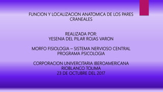 FUNCION Y LOCALIZACION ANATOMICA DE LOS PARES
CRANEALES
REALIZADA POR:
YESENIA DEL PILAR ROJAS VARON
MORFO FISIOLOGIA – SISTEMA NERVIOSO CENTRAL
PROGRAMA PSICOLOGIA
CORPORACION UNIVERCITARIA IBEROAMERICANA
RIOBLANCO TOLIMA
23 DE OCTUBRE DEL 2017
 