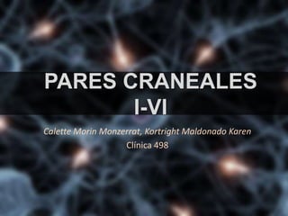 PARES CRANEALES
I-VI
Calette Morin Monzerrat, Kortright Maldonado Karen
Clínica 498
 