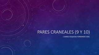 PARES CRANEALES (9 Y 10)
- JUAREZ ESQUEDA FERNANDO AXEL
 