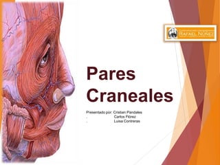Pares
Craneales
Presentado por: Cristian Pandales
. Carlos Flórez
. Luisa Contreras
 