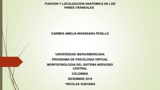FUNCION Y LOCALIZACION ANATOMICA DE LOS
PARES CRANEALES
CARMEN AMELIA INSANDARA PESILLO
UNIVERSIDAD IBEROAMERICANA
PROGRAMA DE PSICOLOGIA VIRTUAL
MORFOFISIOLOGIA DEL SISTEMA NERVIOSO
CENTRAL
COLOMBIA
DICIEMBRE 2019
*NICOLAS GUEVARA
 
