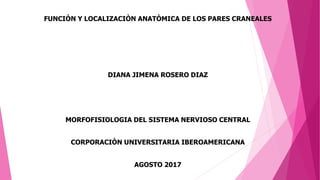FUNCIÒN Y LOCALIZACIÒN ANATÒMICA DE LOS PARES CRANEALES
DIANA JIMENA ROSERO DIAZ
MORFOFISIOLOGIA DEL SISTEMA NERVIOSO CENTRAL
CORPORACIÒN UNIVERSITARIA IBEROAMERICANA
AGOSTO 2017
 