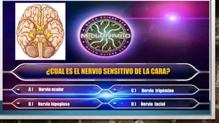 ¿CUAL ES EL NERVIO SENSITIVO DE LA CARA?
A ) Nervio ocular
B ) Nervio hipogloso
C ) Nervio trigémino
D ) Nervio facial
 
