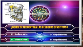 ¿DONDE SE ENCUENTRAN LAS NEURONAS SENSITIVAS?
A ) Ganglio de sparca C ) Ganglio de cloquet
B ) Ganglio de gasser D ) Ganglio de virchow
 