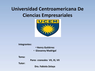 Universidad Centroamericana De
Ciencias Empresariales

Integrantes:
• Henry Gutiérrez
• Giovanny Madrigal
Tema:
Pares craneales VII, XI, VII
Tutor:
Dra. Fabiola Zelaya

 
