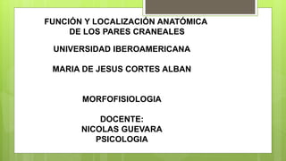 UNIVERSIDAD IBEROAMERICANA
MARIA DE JESUS CORTES ALBAN
MORFOFISIOLOGIA
DOCENTE:
NICOLAS GUEVARA
PSICOLOGIA
FUNCIÓN Y LOCALIZACIÓN ANATÓMICA
DE LOS PARES CRANEALES
 