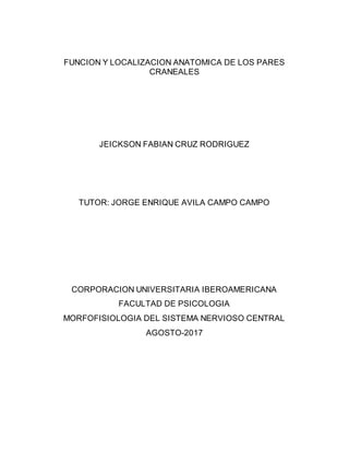 FUNCION Y LOCALIZACION ANATOMICA DE LOS PARES
CRANEALES
JEICKSON FABIAN CRUZ RODRIGUEZ
TUTOR: JORGE ENRIQUE AVILA CAMPO CAMPO
CORPORACION UNIVERSITARIA IBEROAMERICANA
FACULTAD DE PSICOLOGIA
MORFOFISIOLOGIA DEL SISTEMA NERVIOSO CENTRAL
AGOSTO-2017
 