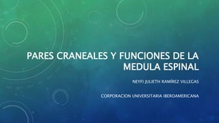 PARES CRANEALES Y FUNCIONES DE LA
MEDULA ESPINAL
NEYFI JULIETH RAMÍREZ VILLEGAS
CORPORACION UNIVERSITARIA IBEROAMERICANA
 