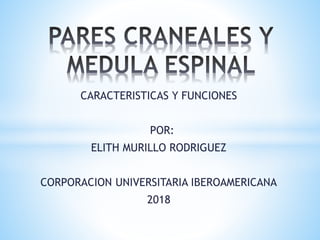 CARACTERISTICAS Y FUNCIONES
POR:
ELITH MURILLO RODRIGUEZ
CORPORACION UNIVERSITARIA IBEROAMERICANA
2018
 