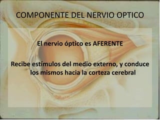 COMPONENTE DEL NERVIO OPTICO
El nervio óptico es AFERENTE
Recibe estímulos del medio externo, y conduce
los mismos hacia la corteza cerebral
 