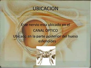 UBICACION
Este nervio esta ubicado en el
CANAL OPTICO
Ubicado en la parte posterior del hueso
esfenoides
 