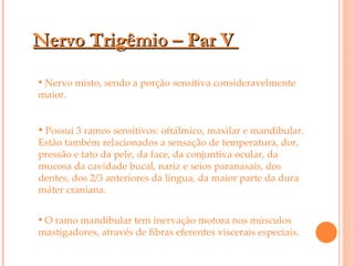 Nervo Trigêmio – Par V  Nervo misto, sendo a porção sensitiva consideravelmente maior. Possui 3 ramos sensitivos: oftálmico, maxilar e mandibular. Estão também relacionados a sensação de temperatura, dor, pressão e tato da pele, da face, da conjuntiva ocular, da mucosa da cavidade bucal, nariz e seios paranasais, dos dentes, dos 2/3 anteriores da língua, da maior parte da dura máter craniana. O ramo mandibular tem inervação motora nos músculos mastigadores, através de fibras eferentes viscerais especiais. 