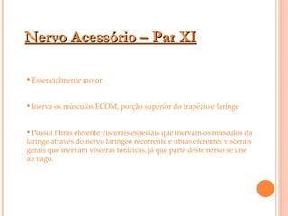 Nervo Acessório – Par XI Essencialmente motor Inerva os músculos ECOM, porção superior do trapézio e laringe Possui fibras eferente viscerais especiais que inervam os músculos da laringe através do nervo laríngeo recorrente e fibras eferentes viscerais gerais que inervam vísceras torácicas, já que parte deste nervo se une ao vago.   