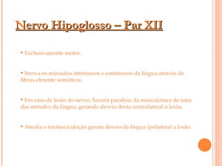 Nervo Hipoglosso – Par XII Exclusivamente motor. Inerva os músculos intrínsecos e extrínsecos da língua através de fibras eferente somáticas. Em caso de lesão do nervo, haverá paralisia da musculatura de uma das metades da língua, gerando desvio desta contralateral à lesão. Atrofia e miofasciculação geram desvio da língua ipsilateral a lesão. 