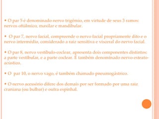 O par 5 é denominado nervo trigêmio, em virtude de seus 3 ramos: nervos oftálmico, maxilar e mandibular. O par 7, nervo facial, compreende o nervo facial propriamente dito e o nervo intermédio, considerado a raiz sensitiva e visceral do nervo facial. O par 8, nervo vestíbulo-coclear, apresenta dois componentes distintos: a parte vestibular, e a parte coclear.   É também denominado nervo esteato-acústico. O  par 10, o nervo vago, é também chamado pneumogástrico. O nervo acessório difere dos demais por ser formado por uma raiz craniana (ou bulbar) e outra espinhal. 