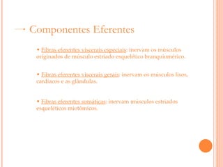 Componentes Eferentes Fibras eferentes viscerais especiais : inervam os músculos originados de músculo estriado esquelético branquiomérico.  Fibras eferentes viscerais gerais : inervam os músculos lisos, cardíacos e as glândulas.   Fibras eferentes somáticas : inervam músculos estriados esqueléticos miotômicos.  