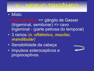 V – NERVO TRIGÊMEO 
•Misto 
•Raiz sensitiva => gânglio de Gasser (trigeminal, semilunar) => cavo trigeminal - (parte petrosa do temporal) 
•3 ramos (n. oftálmico, maxilar, mandibular) 
•Sensibilidade da cabeça 
•Impulsos exteroceptivos e propioceptivos  