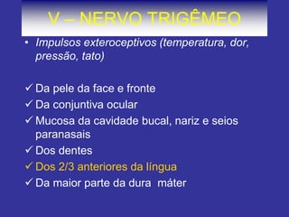 V – NERVO TRIGÊMEO 
•Impulsos exteroceptivos (temperatura, dor, pressão, tato) 
Da pele da face e fronte 
Da conjuntiva ocular 
Mucosa da cavidade bucal, nariz e seios paranasais 
Dos dentes 
Dos 2/3 anteriores da língua 
Da maior parte da dura máter  