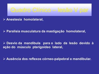 Quadro Clínico – lesão V par 
 Anestesia homolateral, 
 Paralisia musculatura da mastigação homolateral, 
 Desvio da mandíbula para o lado da lesão devido à ação do músculo pterigoideo lateral, 
 Ausência dos reflexos córneo-palpebral e mandibular.  