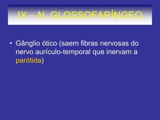 IX – N. GLOSSOFARÍNGEO 
•Gânglio ótico (saem fibras nervosas do nervo aurículo-temporal que inervam a parótida)  