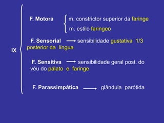 F. Motora m. constrictor superior da faringe 
m. estilo faringeo 
* F. Sensorial sensibilidade gustativa 1/3 posterior da língua 
F. Sensitiva sensibilidade geral post. do véu do pálato e faringe 
F. Parassimpática glândula parótida 
IX  