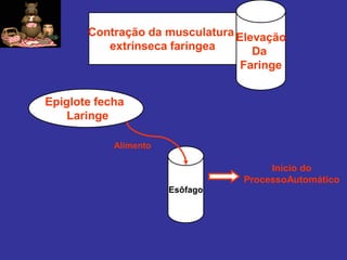 Contração da musculatura 
extrínseca faríngea 
Elevação 
Da 
Faringe 
Epiglote fecha 
Laringe 
Esôfago 
Alimento 
Início do ProcessoAutomático  