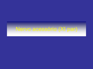 Nervo acessório (XI par)  