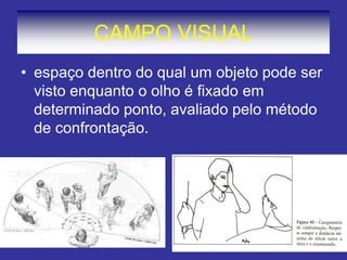 CAMPO VISUAL 
•espaço dentro do qual um objeto pode ser visto enquanto o olho é fixado em determinado ponto, avaliado pelo método de confrontação.  
