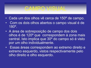 CAMPO VISUAL 
•Cada um dos olhos vê cerca de 150º de campo. 
• Com os dois olhos abertos o campo visual é de 180º. 
•A área de sobreposição de campo dos dois olhos é de 120º que correspondem à zona mais central. Isto implica que 30º do campo só é visto por um olho individualmente. 
• Essas áreas correspondem ao extremo direito e extremo esquerdo, vistos respectivamente pelo olho direito e olho esquerdo.  