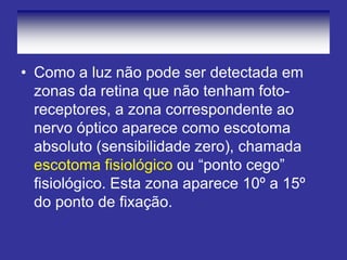 •Como a luz não pode ser detectada em zonas da retina que não tenham foto- receptores, a zona correspondente ao nervo óptico aparece como escotoma absoluto (sensibilidade zero), chamada escotoma fisiológico ou “ponto cego” fisiológico. Esta zona aparece 10º a 15º do ponto de fixação.  