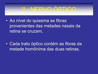 II - NERVO ÓPTICO 
•Ao nível do quiasma as fibras provenientes das metades nasais da retina se cruzam, 
•Cada trato óptico contém as fibras da metade homônima das duas retinas.  