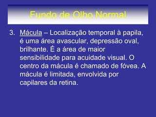 Fundo de Olho Normal 
3.Mácula – Localização temporal à papila, é uma área avascular, depressão oval, brilhante. É a área de maior sensibilidade para acuidade visual. O centro da mácula é chamado de fóvea. A mácula é limitada, envolvida por capilares da retina. 
 